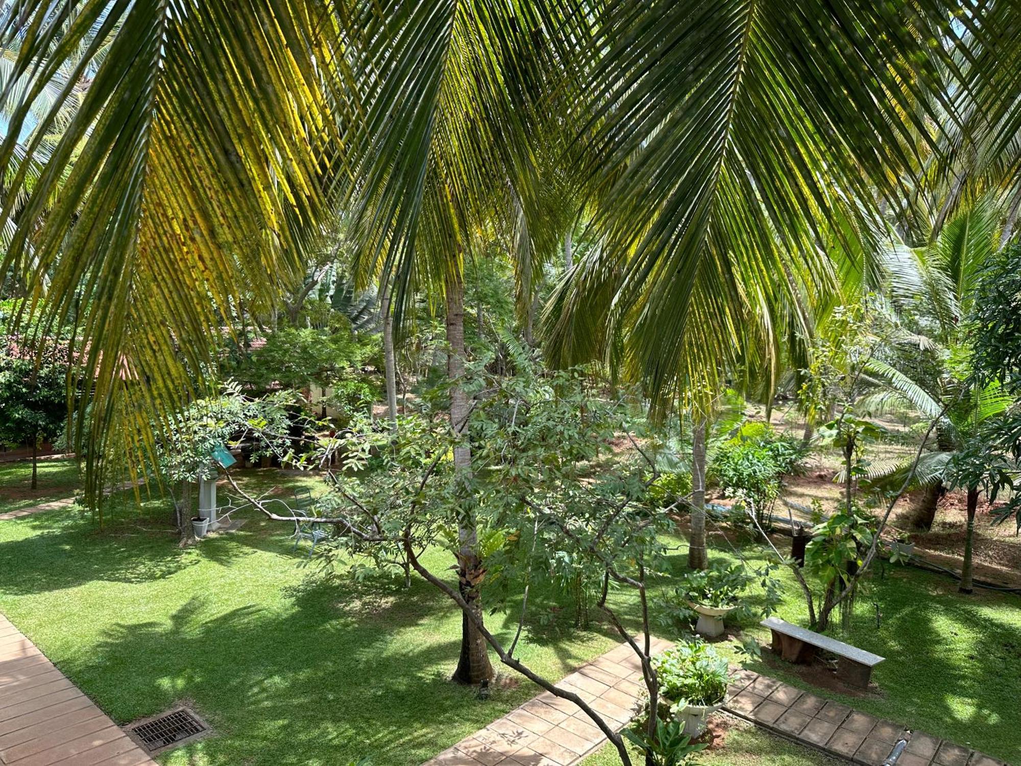 Hotel Heladiv อนุราธปุระ ภายนอก รูปภาพ